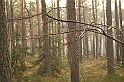 Rostoczek 11.2008 037